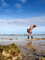   tropical tidepooling  